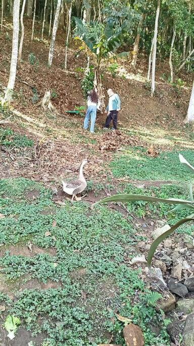 Chale Da Montanha Petropolis Villa Ngoại thất bức ảnh